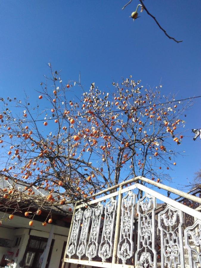 9 Plus - Orbeli 外观 照片