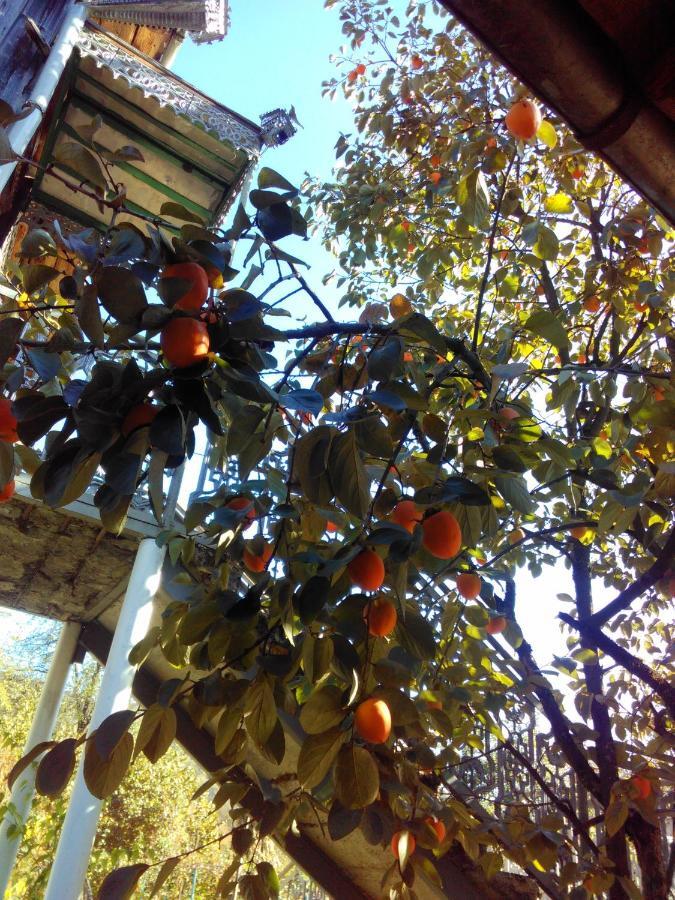 9 Plus - Orbeli 外观 照片