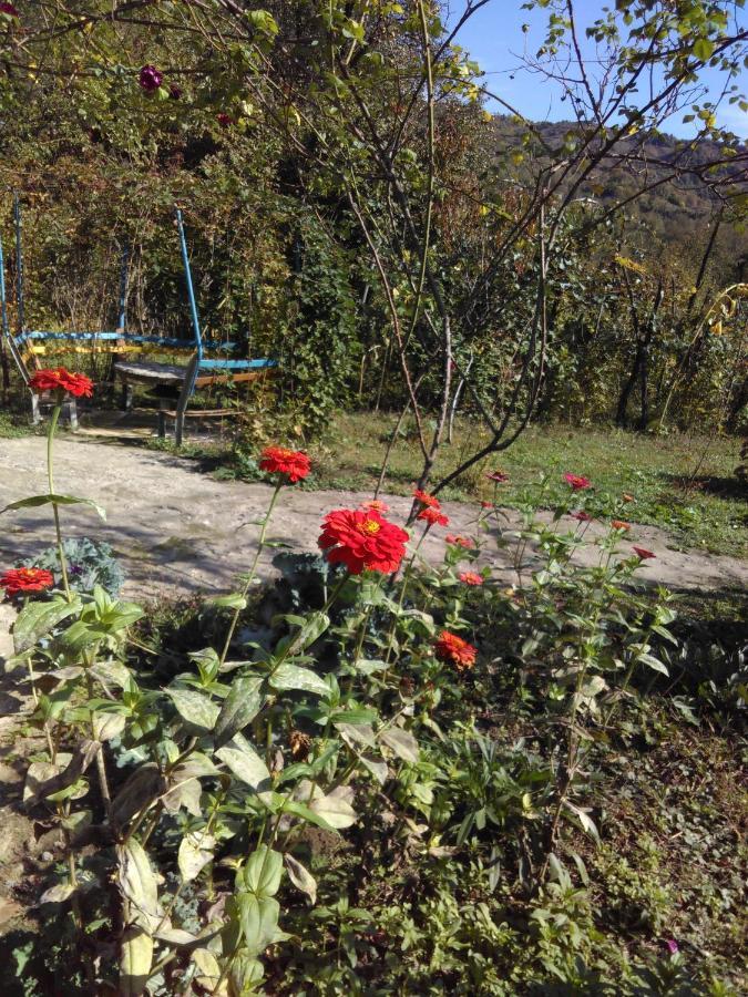 9 Plus - Orbeli 外观 照片