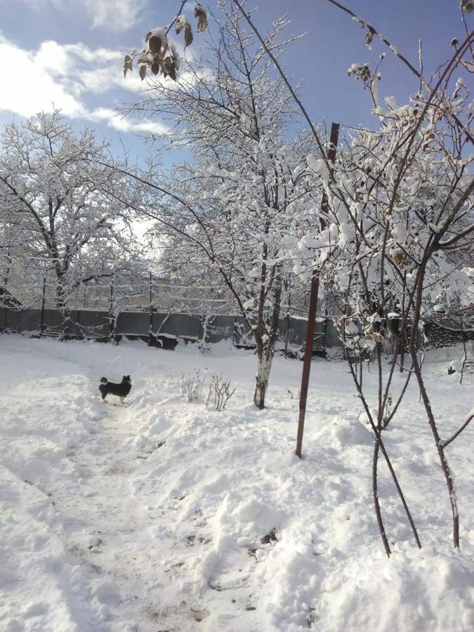 9 Plus - Orbeli 外观 照片