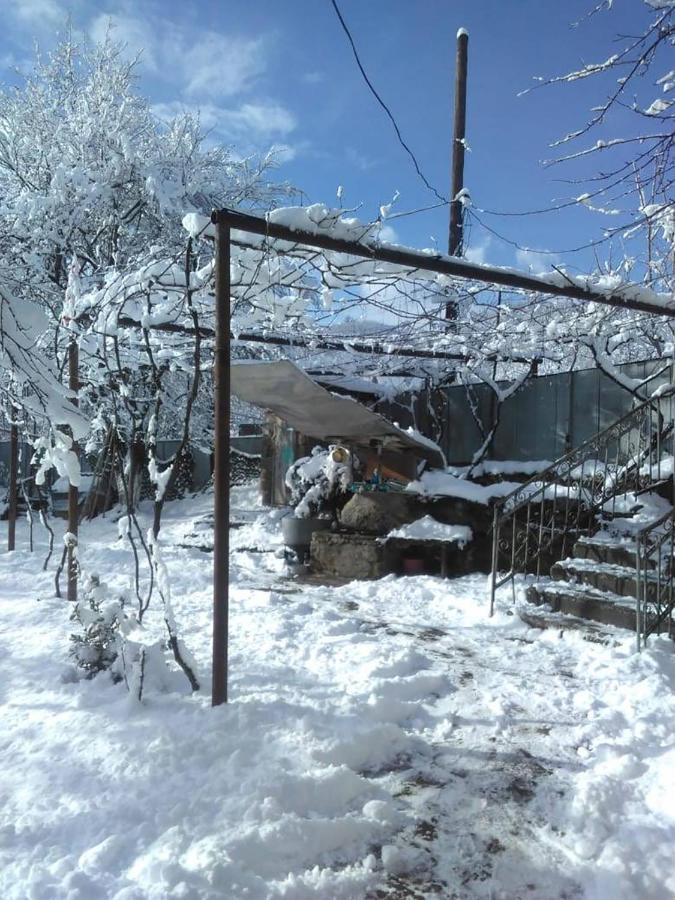 9 Plus - Orbeli 外观 照片