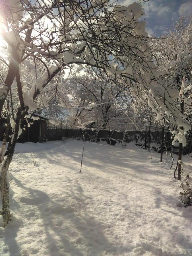 9 Plus - Orbeli 外观 照片